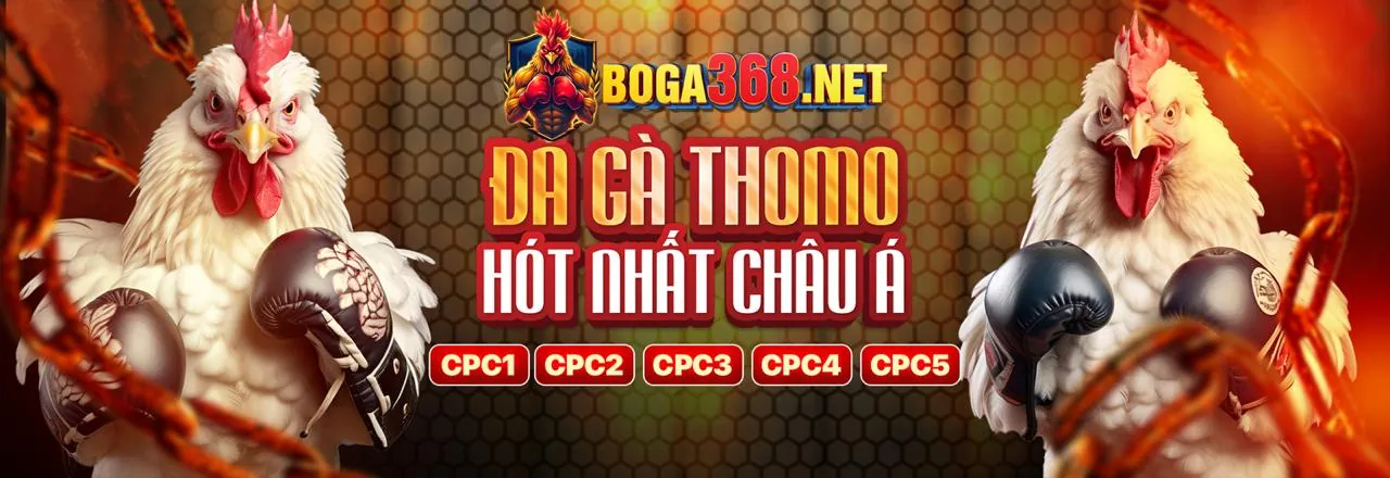 Hình ảnh chính Đá Gà Bình Luận Viên Thomo